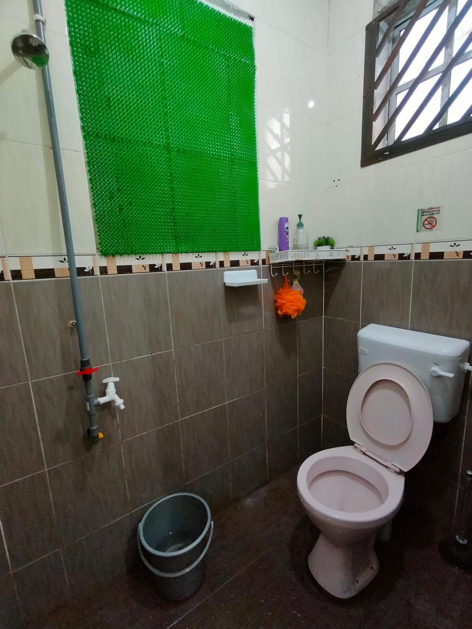 Mini Green Homestay كولايْ المظهر الخارجي الصورة